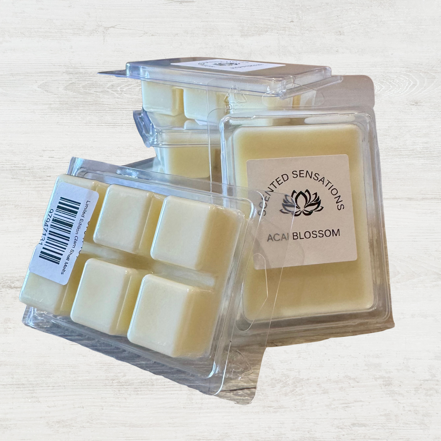 Limited Edition Clam Shell Melts