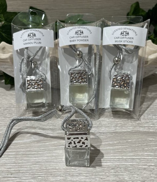 Silver Hanging Car Diffuser